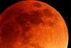 Blood red moon / Eric Lo